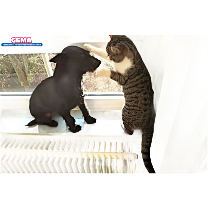 Hund und Katze auf Radiator neben Moderne Holzvergaserheizung mit hoher Effizienz